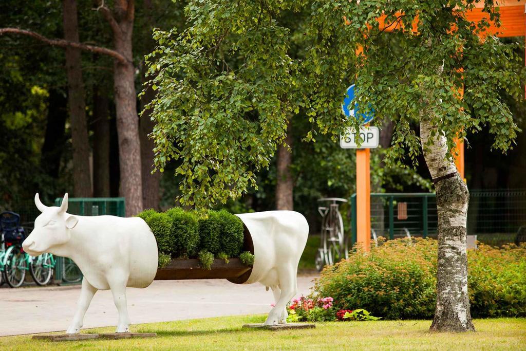 Piejuras Kempings Ventspils Exterior foto